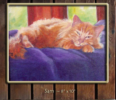 Pet08